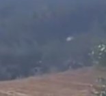 ocarabala's tweet photo. @EliseWilshaw no frame anterior parece que ele sai de trás das árvores devagar e no frame seguinte é ele sai em alta velocidade https://t.co/oM14XSgoni