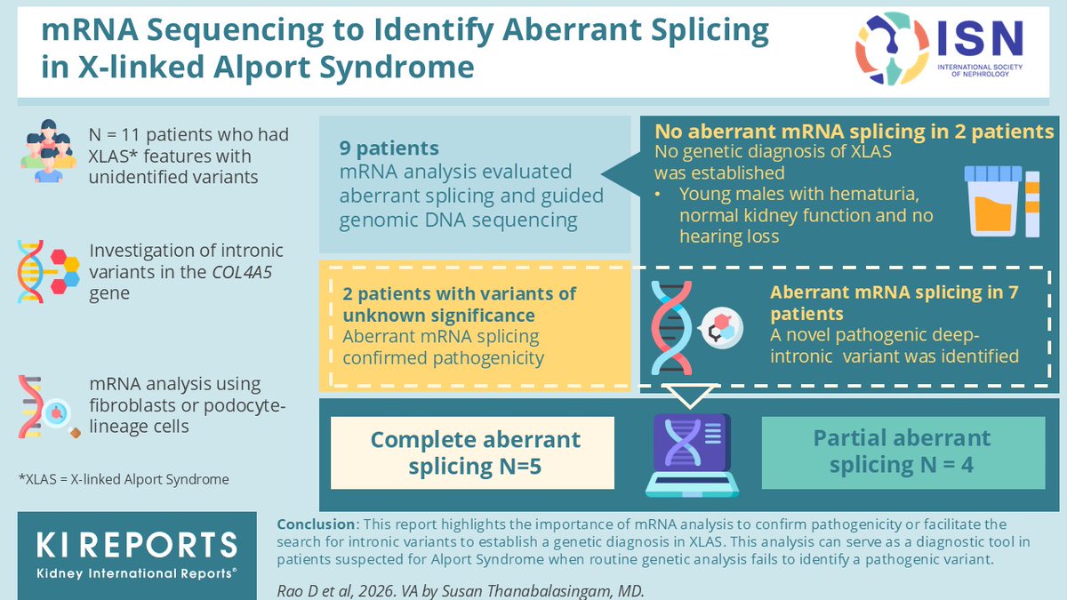 KIReports's tweet photo. #mRNA Sequencing to Identify #Aberrant Splicing in X-linked #Alport Syndrome
#VisualAbstract by @thana_susan
https://t.co/2bTZxnZ327 https://t.co/qH9YdDShAV