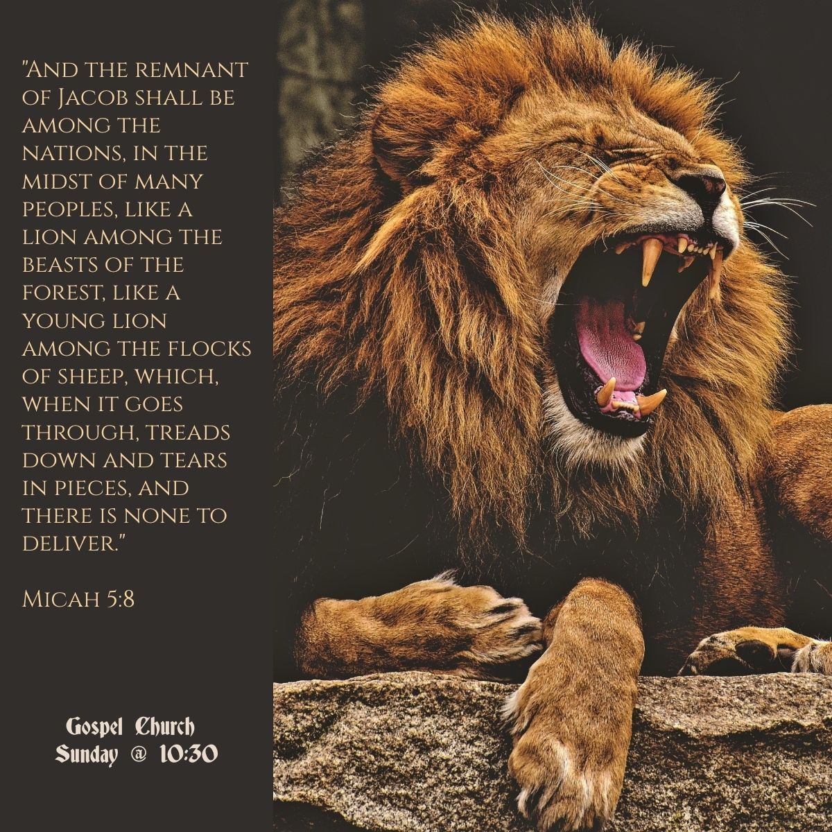 ChurchDurango's tweet photo. Come and Worship https://t.co/4tYLIVDoGN