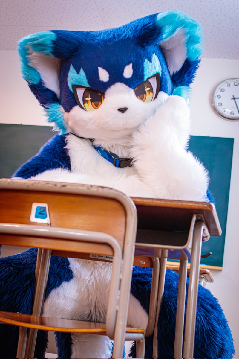 mofu91310711's tweet photo. #FursuitFriday
今日の放課後どうする？ https://t.co/FvHbNHDA39