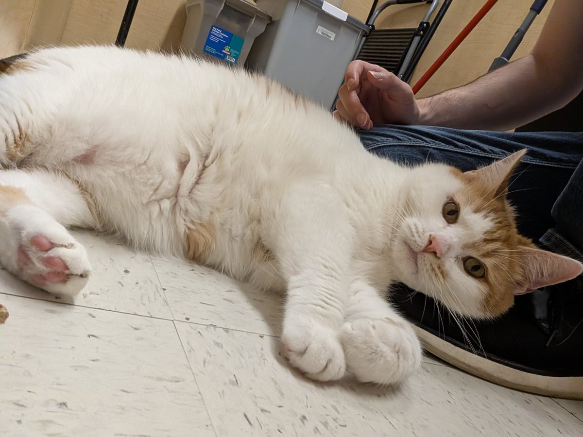pdunlap47's tweet photo. This is Pixel! https://t.co/x3NOFAMWzf