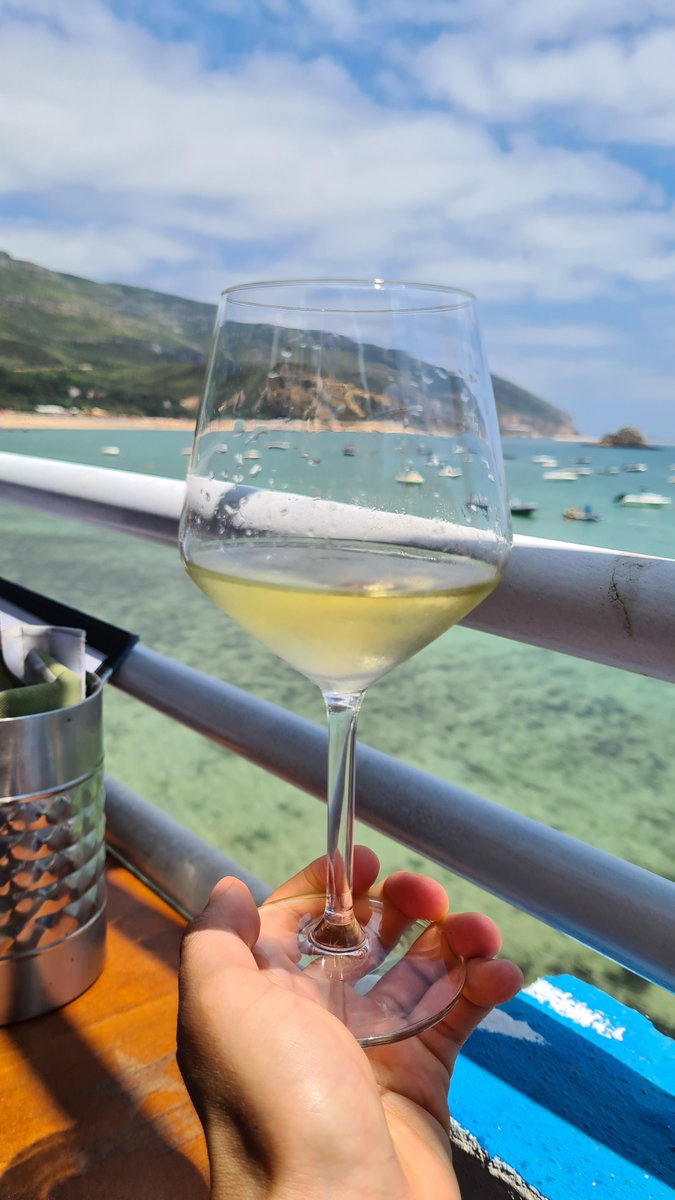 Bacchus 🍷 tweet media