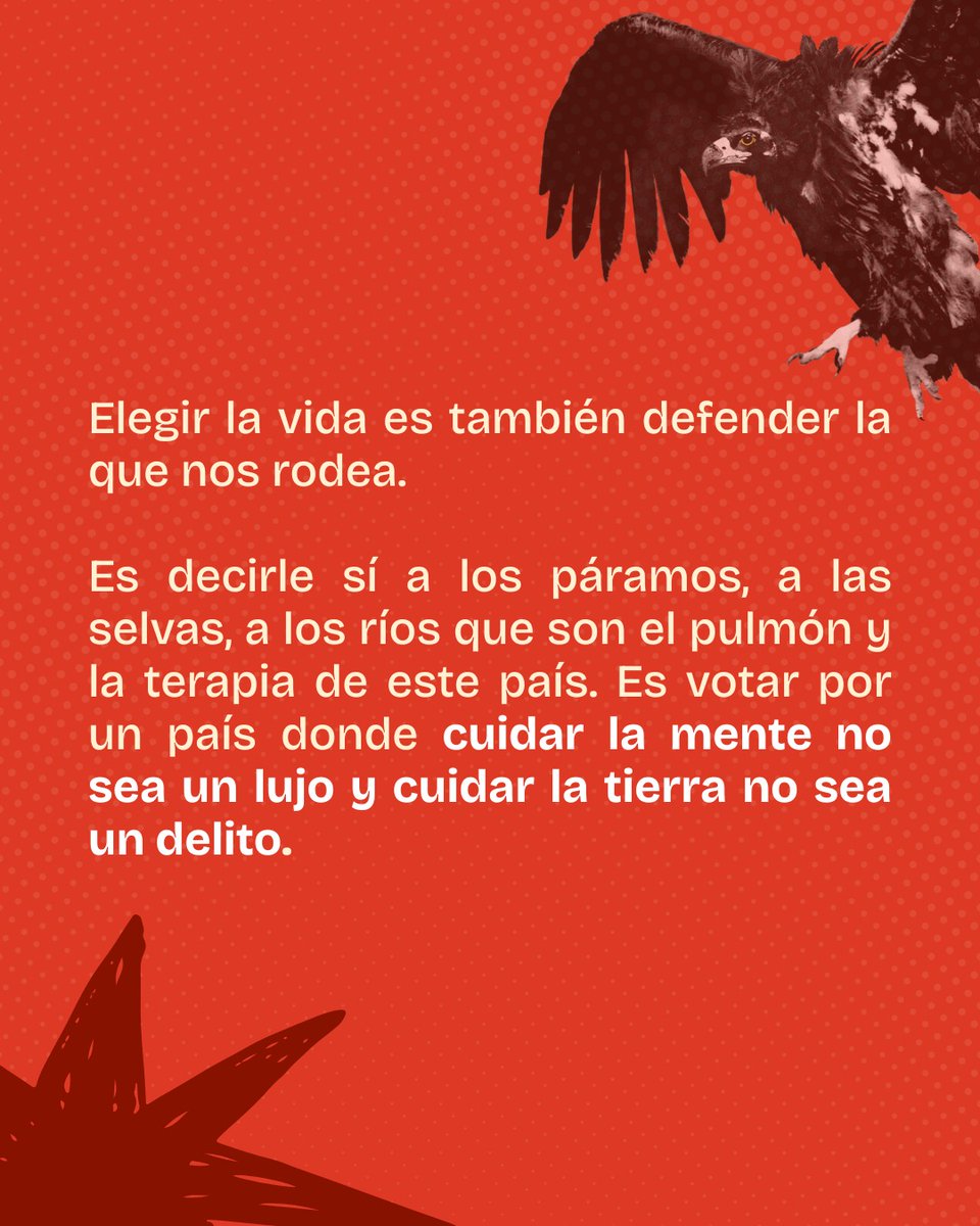 ColombiaClique's tweet photo. ⬇️ https://t.co/XT8C80n0Uq