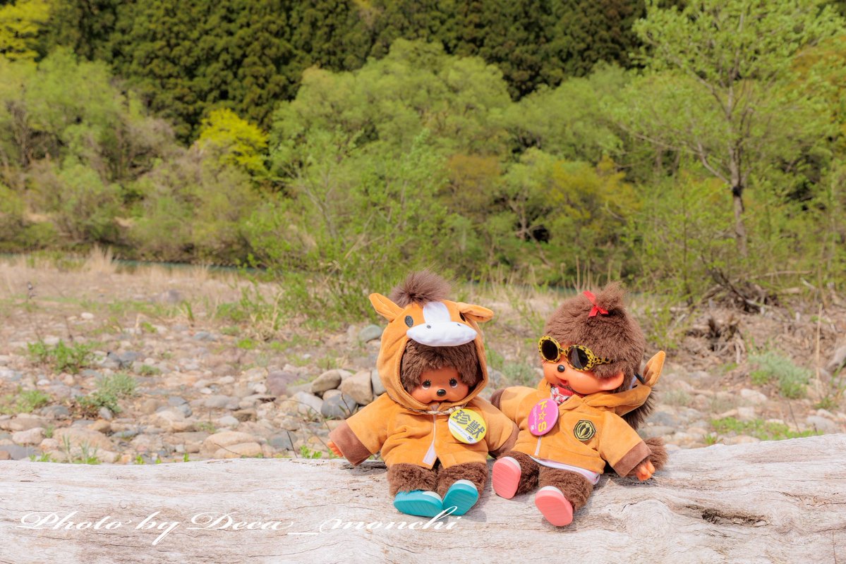 deca_monchi's tweet photo. ねぇ…足痛いんだけど(  ･᷄ὢ･᷅)
モンヂおんぶしてよ😎byもち子

え〜…あっ！パパ…(-ω-；)ｱﾚ?
なんでそんな遠くにいるでしゅか💦
byモンヂ

もち子強し！！😂
足ケガしてても、シレッとキャンプ乗り切ったもんなぁ🤭 https://t.co/kQaZPh1YQG