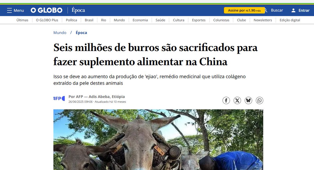 OPINHATT's tweet photo. @Psiquiatripa então.... https://t.co/lP1vjylwRC