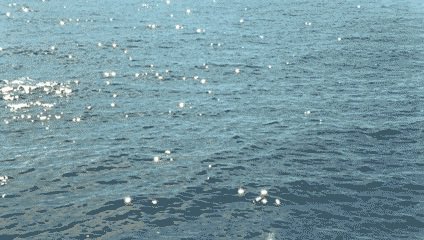 fasshionlover's tweet photo. a good book and glittering ocean https://t.co/x2prrracw5