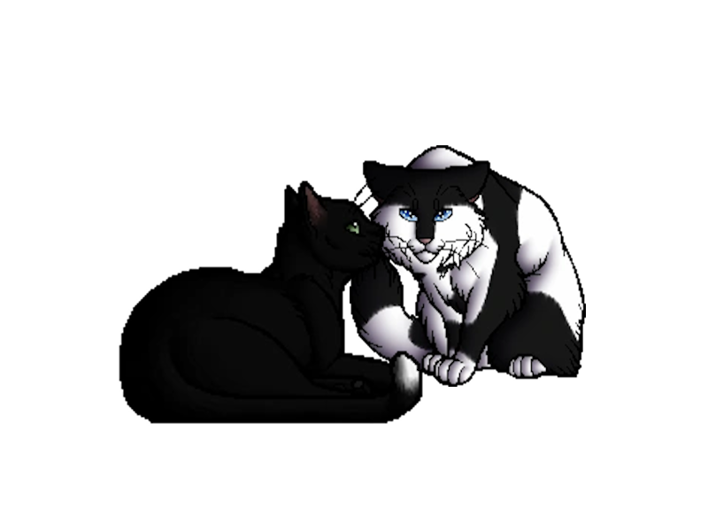 PopClanWarriors's tweet photo. 🚨 This is indefinitely postponed in favour of Warrior Cats Pride Month.

Happy Pride Month! 🏳️‍🌈 https://t.co/3Kf4Rfh7zL