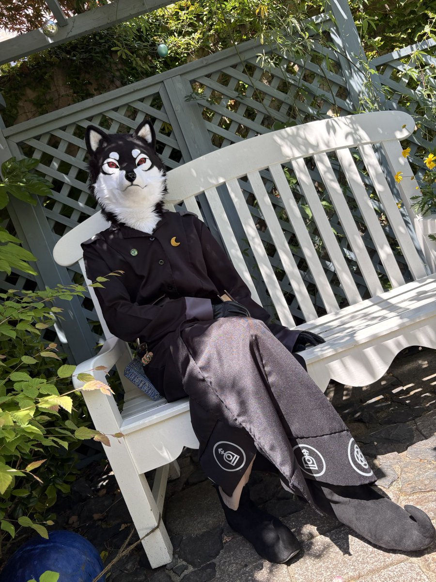 kimurasuka_kmn's tweet photo. 隣へどうぞ。
一休みしましょう。

#FursuitFriday
#FurticStudio https://t.co/dhlXQ7M7L5