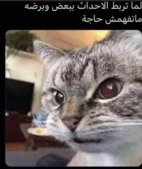 ipxo6's tweet photo. فنجال معه القطعه الاخيره ، ويبي يطلع من الولايه
وفيرفول يقول مجهز شيء بشهر ٨ https://t.co/rY5ORcVSi2