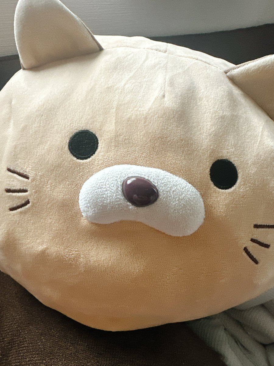 nya_______chan's tweet photo. 毛、短いくせに寝癖つきすぎ https://t.co/gnj0JdnrM3