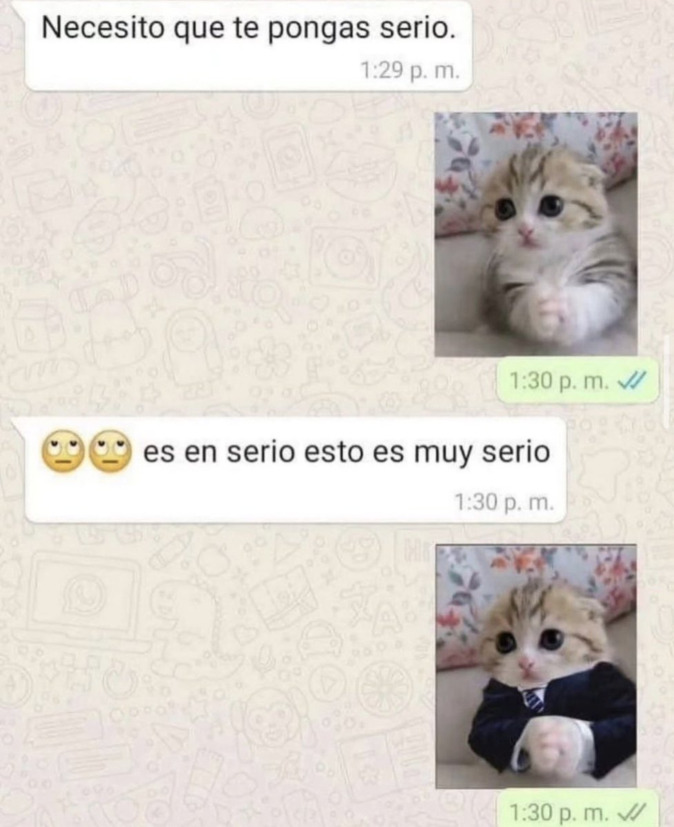 MundoDeBigotes's tweet photo. https://t.co/dLCqhU8lOb
