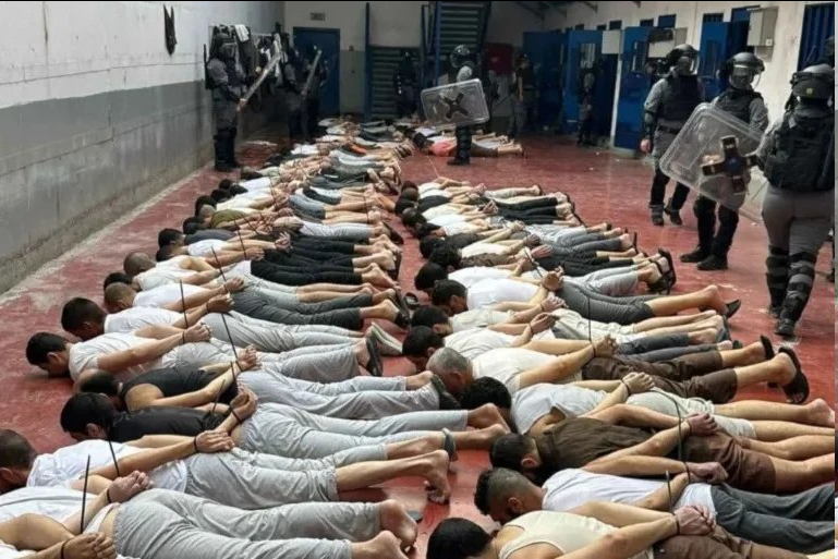 almayadeen_es's tweet photo. ‼️Advierten sobre empeoramiento de condiciones de prisioneros palestinos
⛓️ Las condiciones de vida de los presos palestinos en cárceles de “Israel” experimentan un deterioro creciente, según informes.
Más detalles en el link
https://t.co/THLNHurqKV
#MalasCondiciones #PrisionerosPalestinos #IsraelGenocida