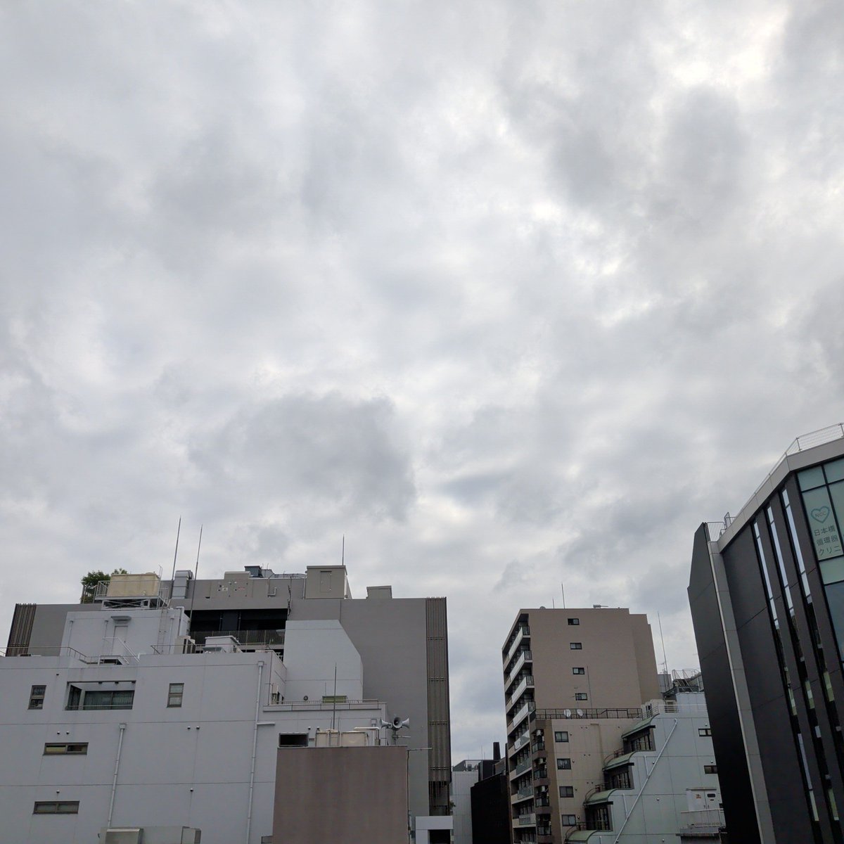 bonmax_com's tweet photo. ＼おはようございマックス！／
6月5日キンキラ金曜日 東京日本橋の天気は☁

今日は空も気温も気持ちのいい朝です！今週最終日、頑張りましょう！🤩

それでは本日もよろしくお願いしマックス！！👍✨😃 https://t.co/mHcJAOdj8k