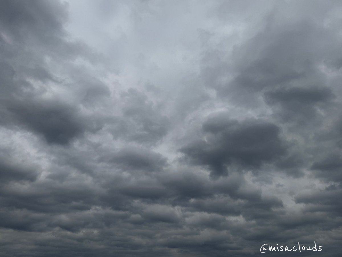 misaclouds's tweet photo. 朝。積雲がみっちり。これぞ層積雲！
#イマソラ https://t.co/U3gmCxNOfm