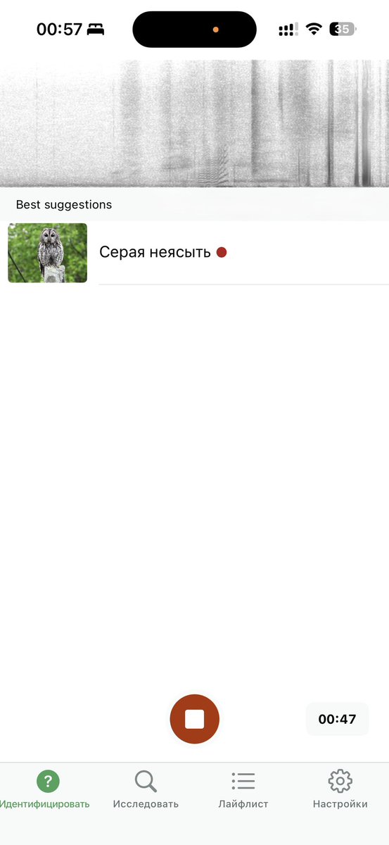 myasmash's tweet photo. засыпать под нежное воркование совы https://t.co/56uiI0KjT2