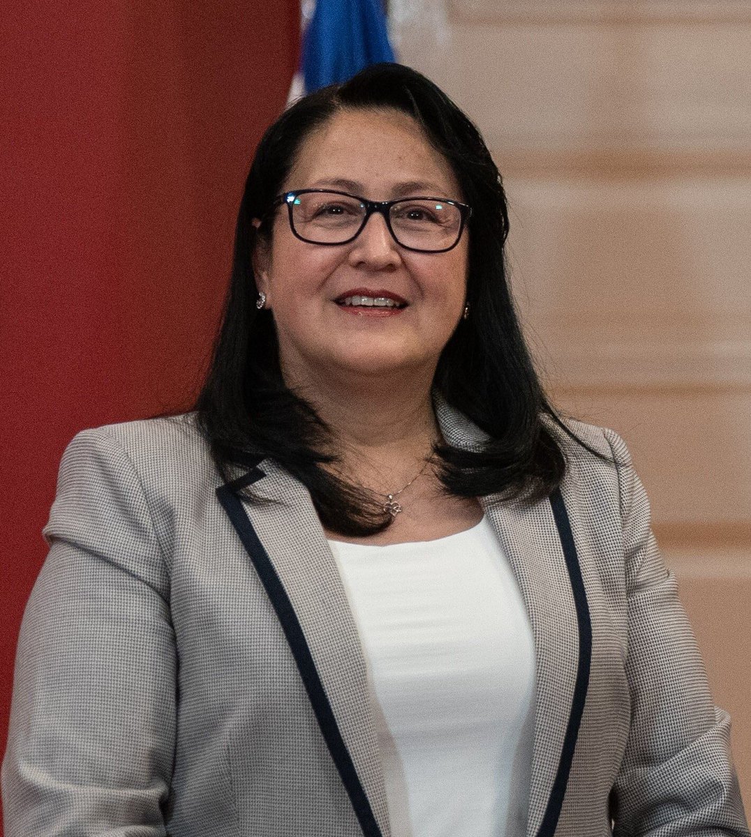 p4purrip0p's tweet photo. 2019: Dorothy Pérez destituida de Contraloría. ¿El siguiente paso? Su amigo José Ramón Correa contrata a Luis Hermosilla para revertirlo. Así funciona Chile: para los privilegiados, la destitución es solo un trámite. 🇨🇱 https://t.co/HYHkDcQ7jB