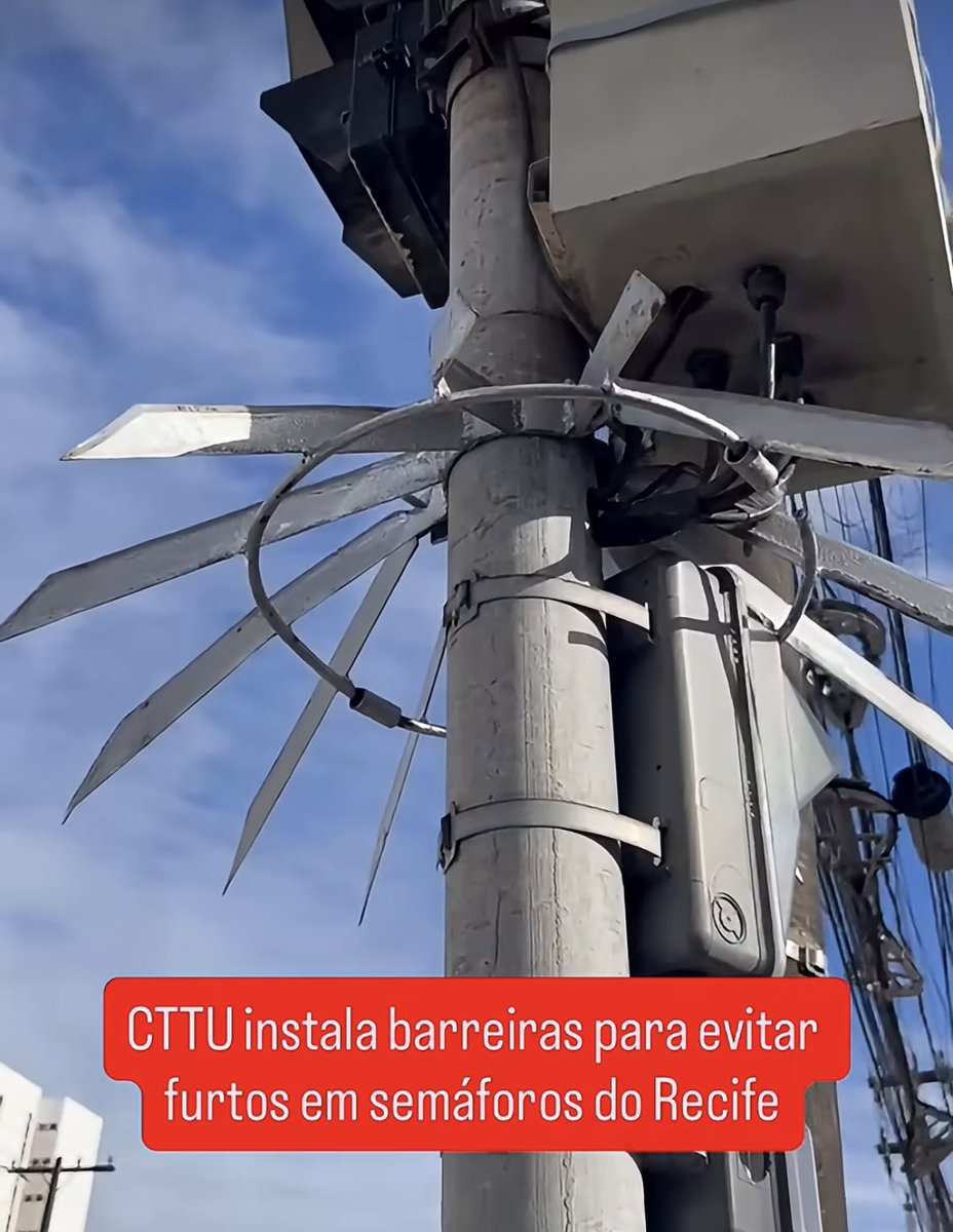 amonter00's tweet photo. Uma imagem que representa Pernambuco: https://t.co/eUIUUkTHn9