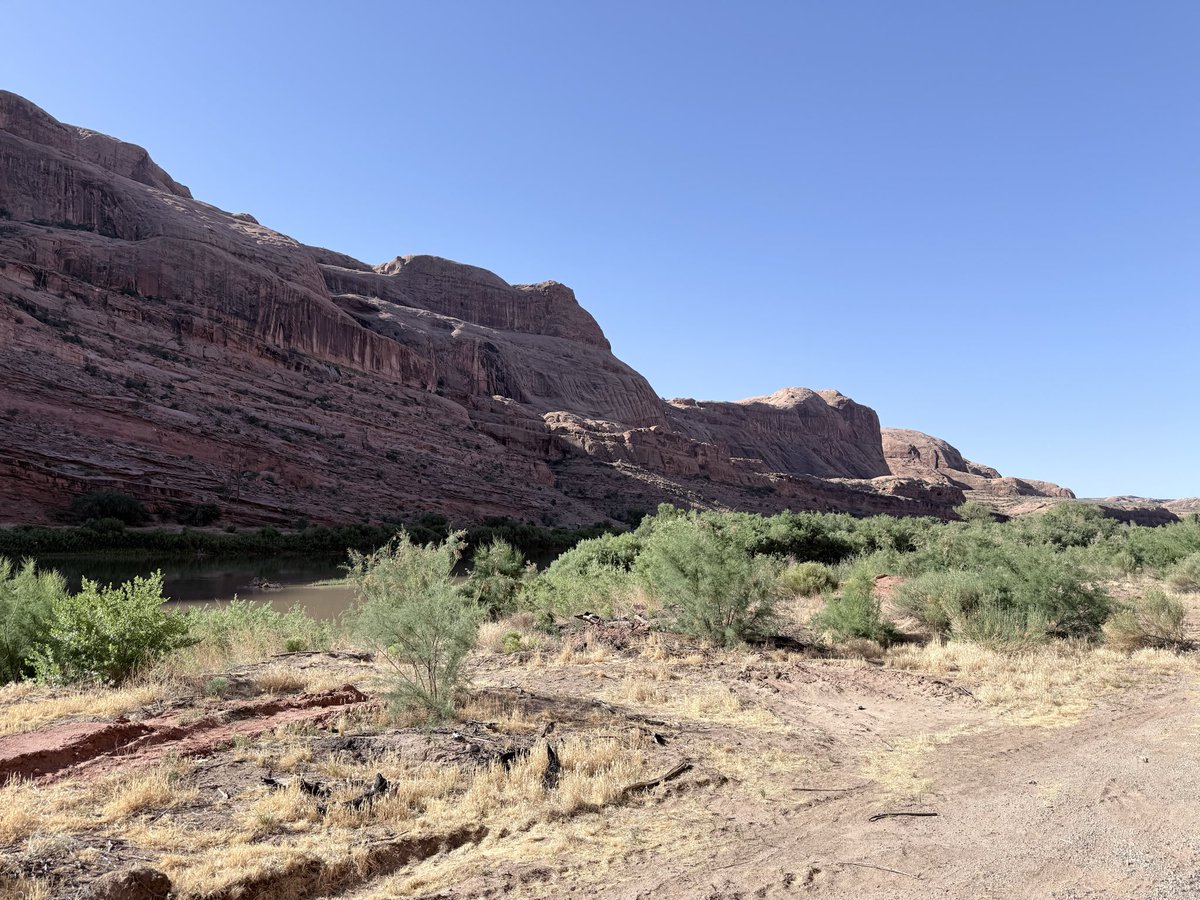 CarterUnchain's tweet photo. Relocation complete, cave in the past, future bright and spicy. More spice on the horizon.

#relocation #newchapter #ontheroadagain #desertdreams #freshstart #movingday #boxeseverywhere #nomadlife #travelvibes #naturelover #moretocome https://t.co/23Xsng5G1n