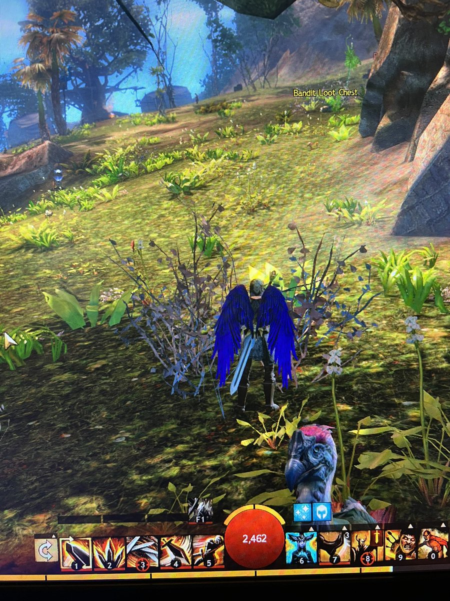 RealKingArk's tweet photo. so uh guild wars anyone? 

#guildwars2 https://t.co/WOs8tMHvzQ