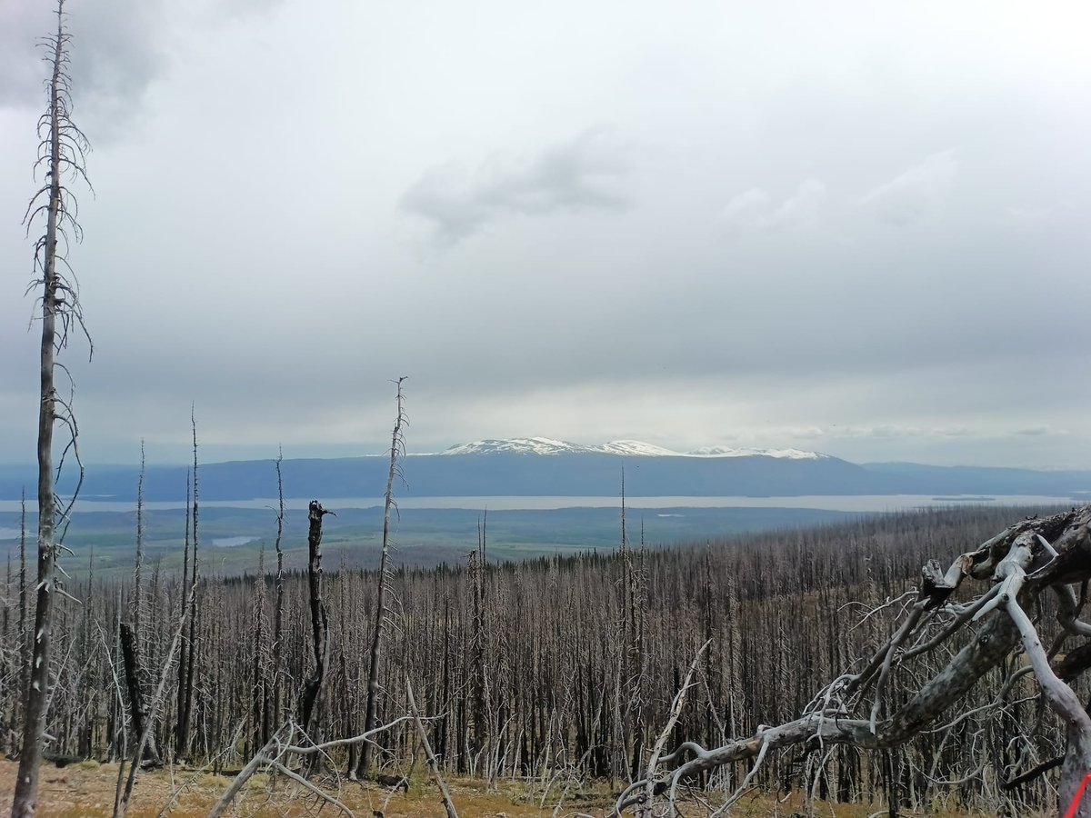 Rokmaster_RKR's tweet photo. A key catalyst, #RokmasterResources is preparing for an upcoming IP Survey designed to refine key porphyry targets ahead of a planned fall drill program at the #MysteryProperty, part of the broader #NechakoProject in west-central BC.
#Copper #Gold #TSXV #JuniorMining #BCMining https://t.co/6z1YgClsZT
