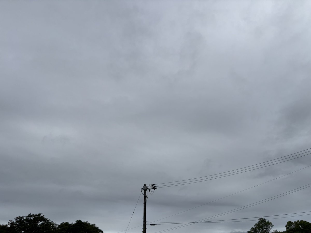 roadmade2020's tweet photo. おはようございます！
今日は曇り☁️
路面濡れているので気をつけて下さい
サイクリング行けそうです🚴‍♂️
今日も楽しんでいきましょう！

#サイクリング
#自転車
#ロードバイク
#TREK
#今日の空
#徳島
#ありがとう https://t.co/BP1FSrEpik