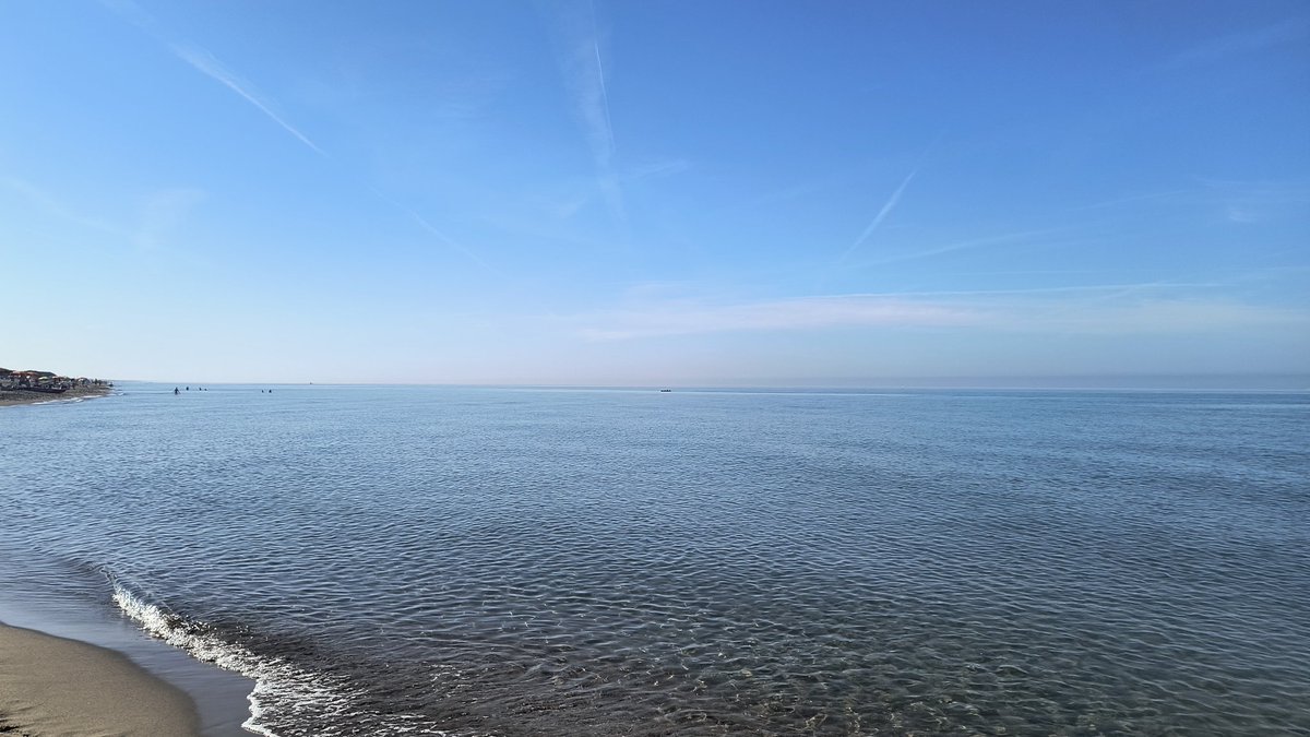 isolearan1's tweet photo. #Capocotta mare di Ostia Le dune https://t.co/8cPqyKj36B