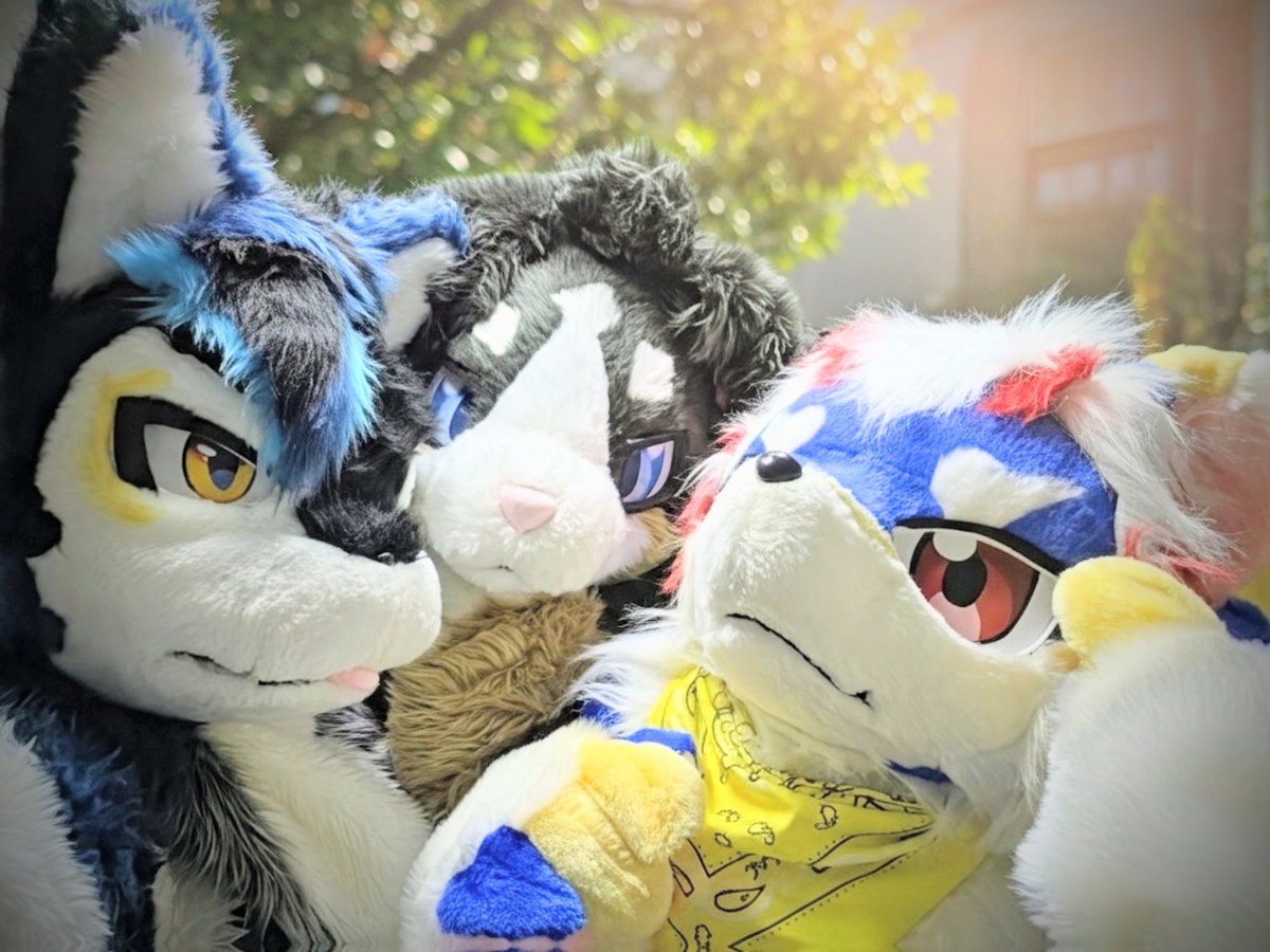 rudorudo222's tweet photo. #FursuitFriday 
みんなで( ˘• ₃ • )ｽﾞﾙｽﾞﾙｽﾞﾙ
楽しいね🥰🥰
みんなきゃわいい🫶🫶 https://t.co/bCf36mw09G