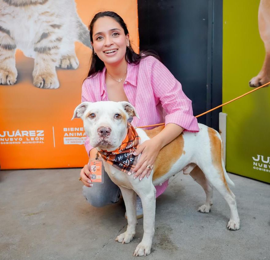 reportecoco's tweet photo. Primer Centro de Bienestar Animal inauguró la alcaldesa Mónica Oyervides en col. Valle Real en el municipio de Juárez @VecinoJuarezNL @mexnewz @RealPolitikNL https://t.co/0mBxWkNmoN