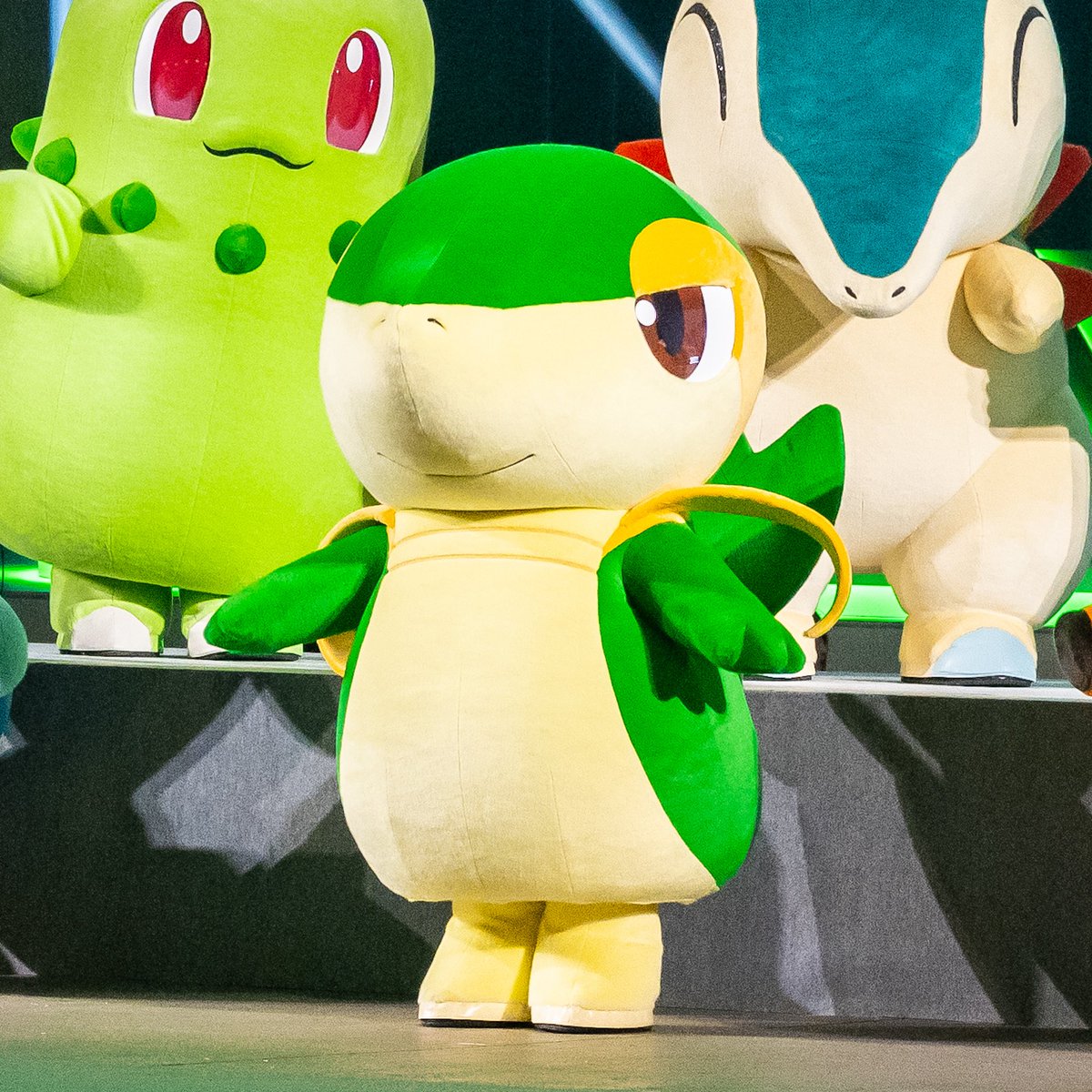 DtimesDream's tweet photo. 歴代の最初のパートナー27匹が大集結！
「ポケモンジャパンチャンピオンシップス2026( #PJCS2026 )」 #ポケモン30周年 スペシャルイベント
ツタージャ、ポカブ、ミジュマル☆
詳細→https://t.co/IDTAinKKbh https://t.co/0jJORoJfiR