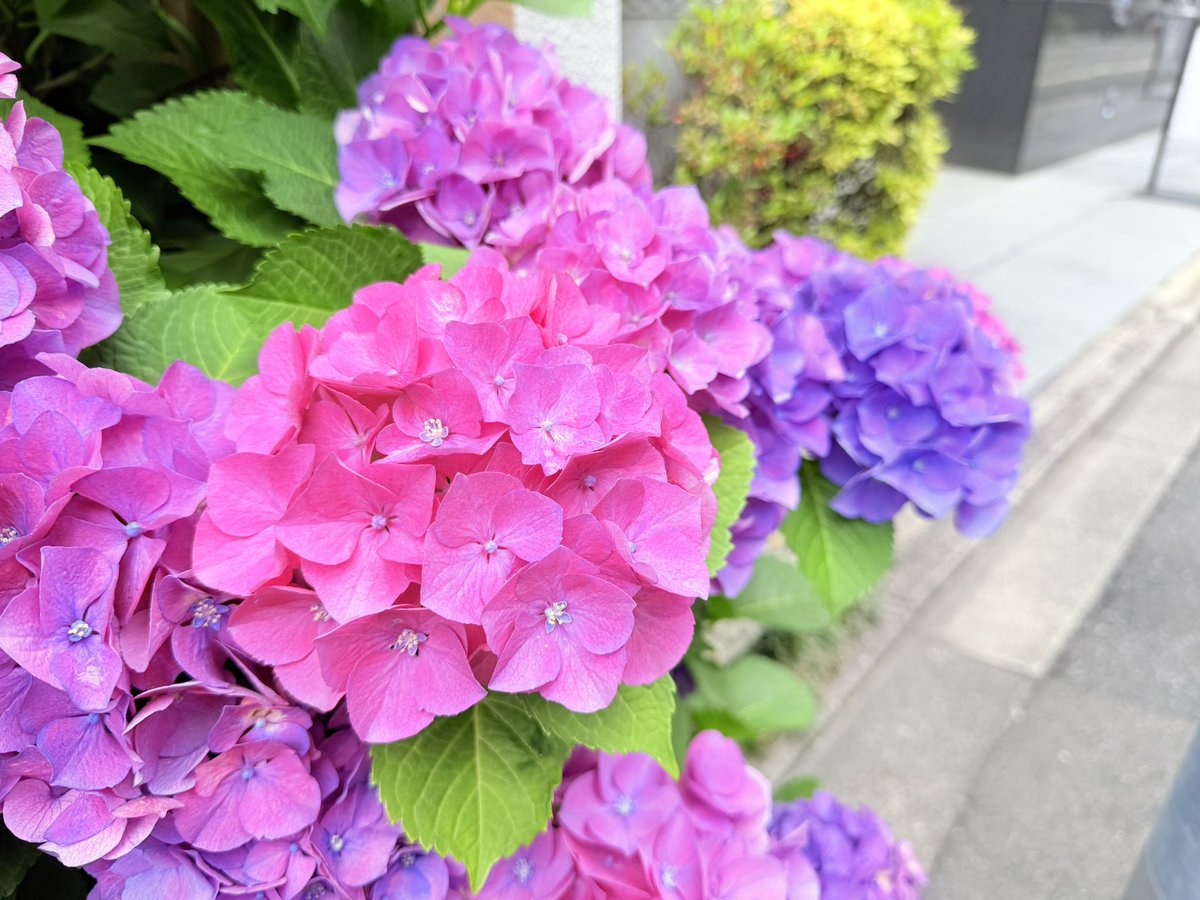 BBX_gn2's tweet photo. 🩷💜💠.*･ﾟ https://t.co/nfd97RUqcI
