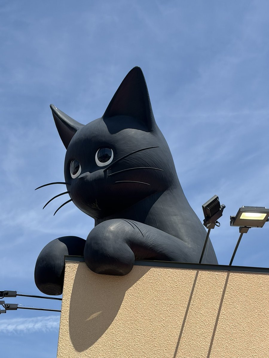 toshimi0105's tweet photo. 実家に帰省したときにシャノワールへ🐱✨最高にかわいい😍ケーキも美味しかった〜🧁 https://t.co/2Qlmt7UoC4