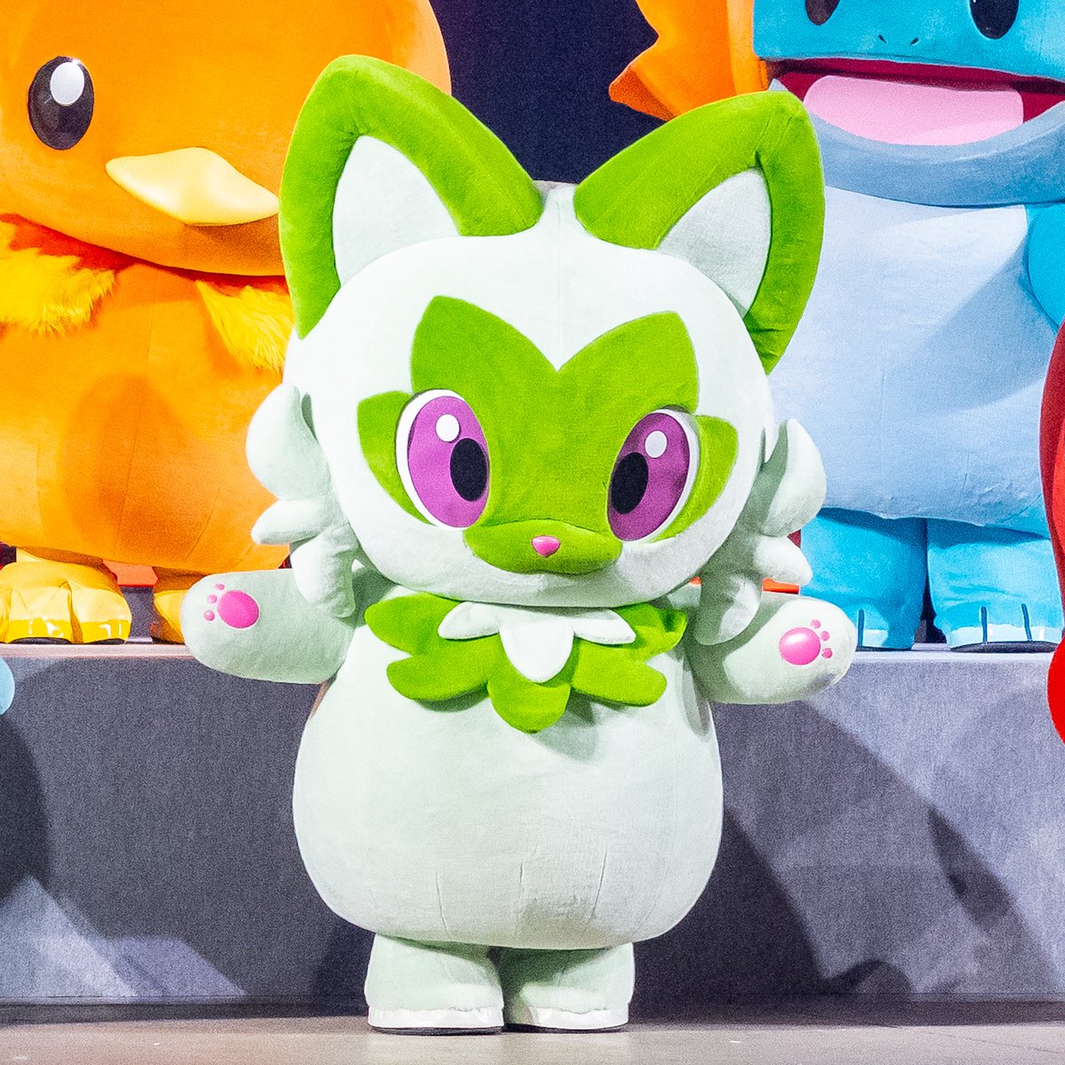DtimesDream's tweet photo. 歴代の最初のパートナー27匹が大集結！
「ポケモンジャパンチャンピオンシップス2026( #PJCS2026 )」 #ポケモン30周年 スペシャルイベント
ニャオハ、ホゲータ、クワッス☆
詳細→https://t.co/IDTAinKKbh https://t.co/jVFvRcAC1F