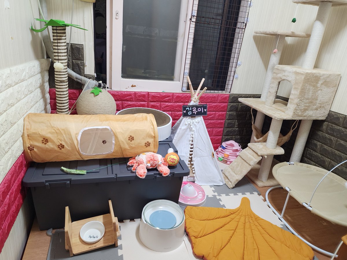 kya_eats's tweet photo. 고양이 입양 쉽게 결정하지 마세요.
아침부터 화가 나네요🤬

1~2개월령 아기 고양이를 무턱대고 입양해놓고
하루 만에 파양
사유는 키우던 고양이가 하악질해서, 같이 사는 가족이 반대해서.

이미 고양이를 키우고 있는 사람이 어떻게
앞뒤 안 따져보고 무작정 애를 데려갈 수가 있죠?
말이 되나요?

당장 유튜브만 찾아봐도 고양이 합사 과정이 얼마나
어렵고 힘든지 다 나와있고, 그 방법까지도 상세히 나와있는데요.
본인이 고양이를 키워봐서 알 수 있지만 고양이는 영역 동물이라 자기 영역에 다른 개체가 들어오는 자체를 안 좋아합니다.

근데 예쁘다고 데려가놓고 "우리 고양이가 하악질해요ㅠㅠ"
"가족이 반대해요.." 이게 말이 되는 소리인가요?

고양이를 입양하려고 본인이 어미 고양이한테서
떼어서 데려간 순간 그 고양이는 다시 어미 고양이한테 못 돌아갈 수도 있는데요?

적어도 방 하나는 비워서 합사를 실패하면 오롯이
그 방에서라도 고양이를 키울 생각을 해야죠.
입양도 파양도 참 쉽네요. 하 참..

우연히 합쳤는데 잘 지내면 다행이지만
고양이 합사는 결코 쉽지 않습니다..

실패하면 다시 첫단계부터 천천히 진행하고 그래도 실패할 때의 대책은 파양이 아니라구요..😡