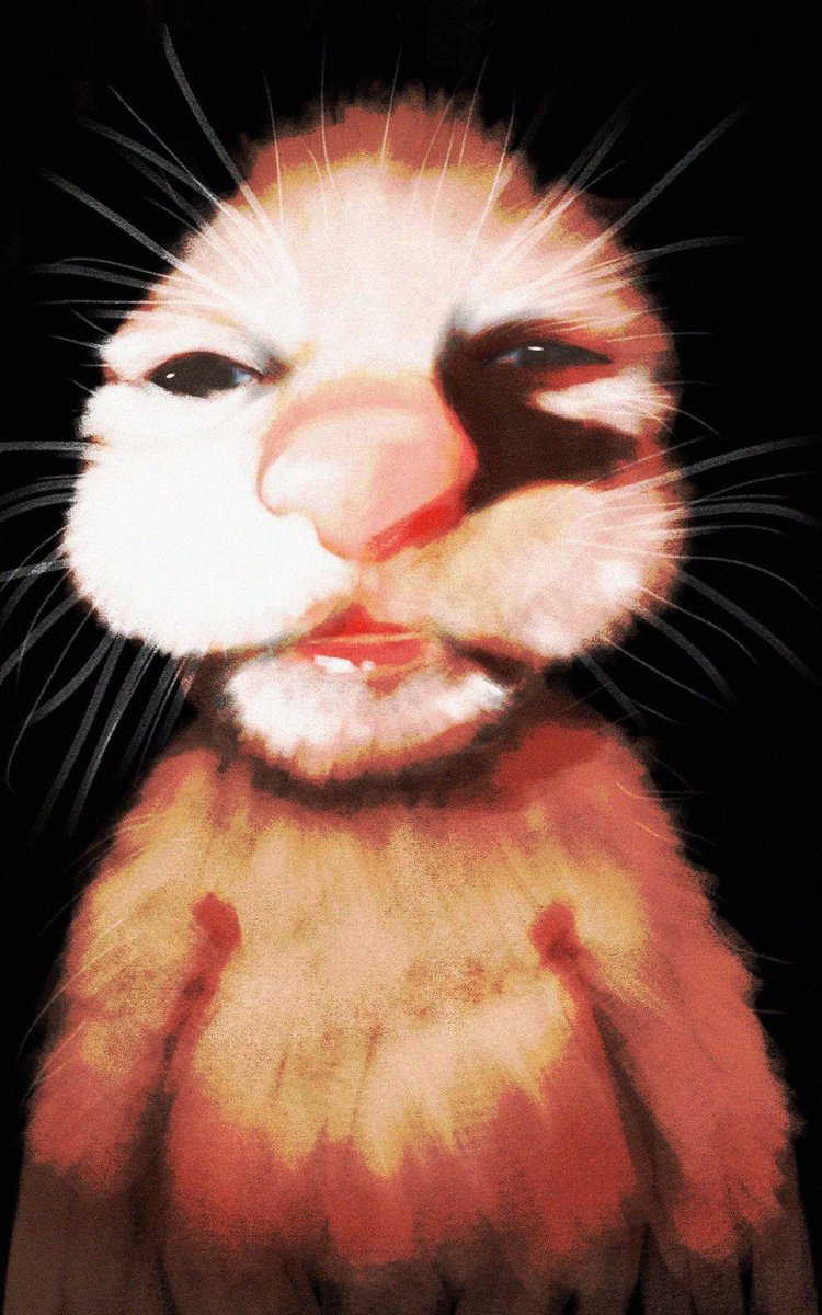 Pundeco's tweet photo. @rinkarafuru cat 👍 https://t.co/5EucgV2zkz