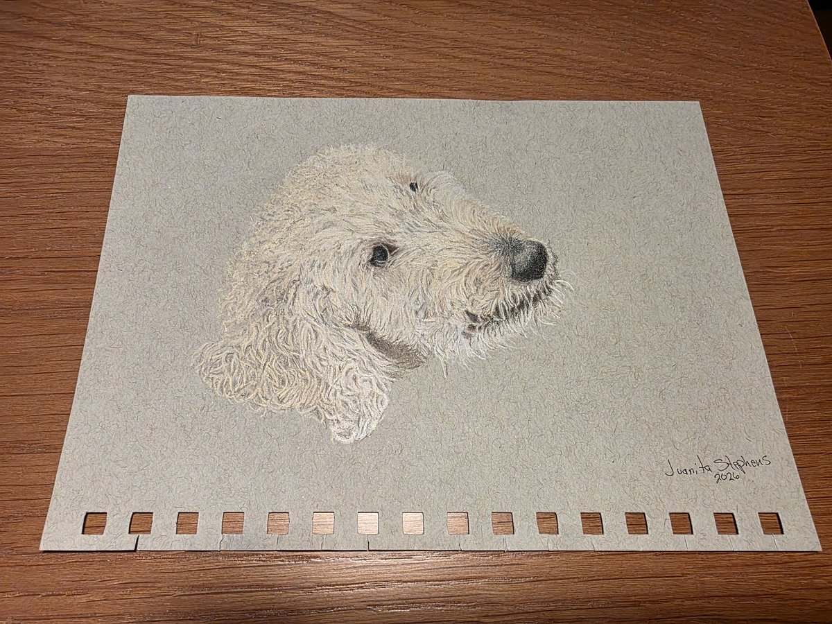 adammarkowitzEA's tweet photo. If you want to know why #TaxTwitter is the best Twitter and @taxretreat is the best place, this right here is the best of all the things.

Thank you @jlrstephens. You are amazingly talented. I am truly blessed to have crossed paths with you and @J_Stephens_CPA. https://t.co/HKyD2CSK5M