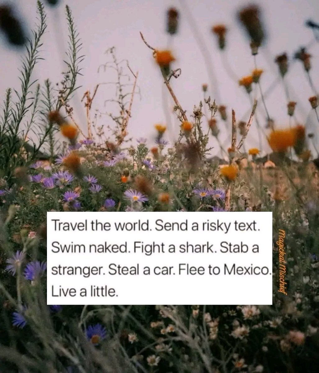 DailyDriver tweet media