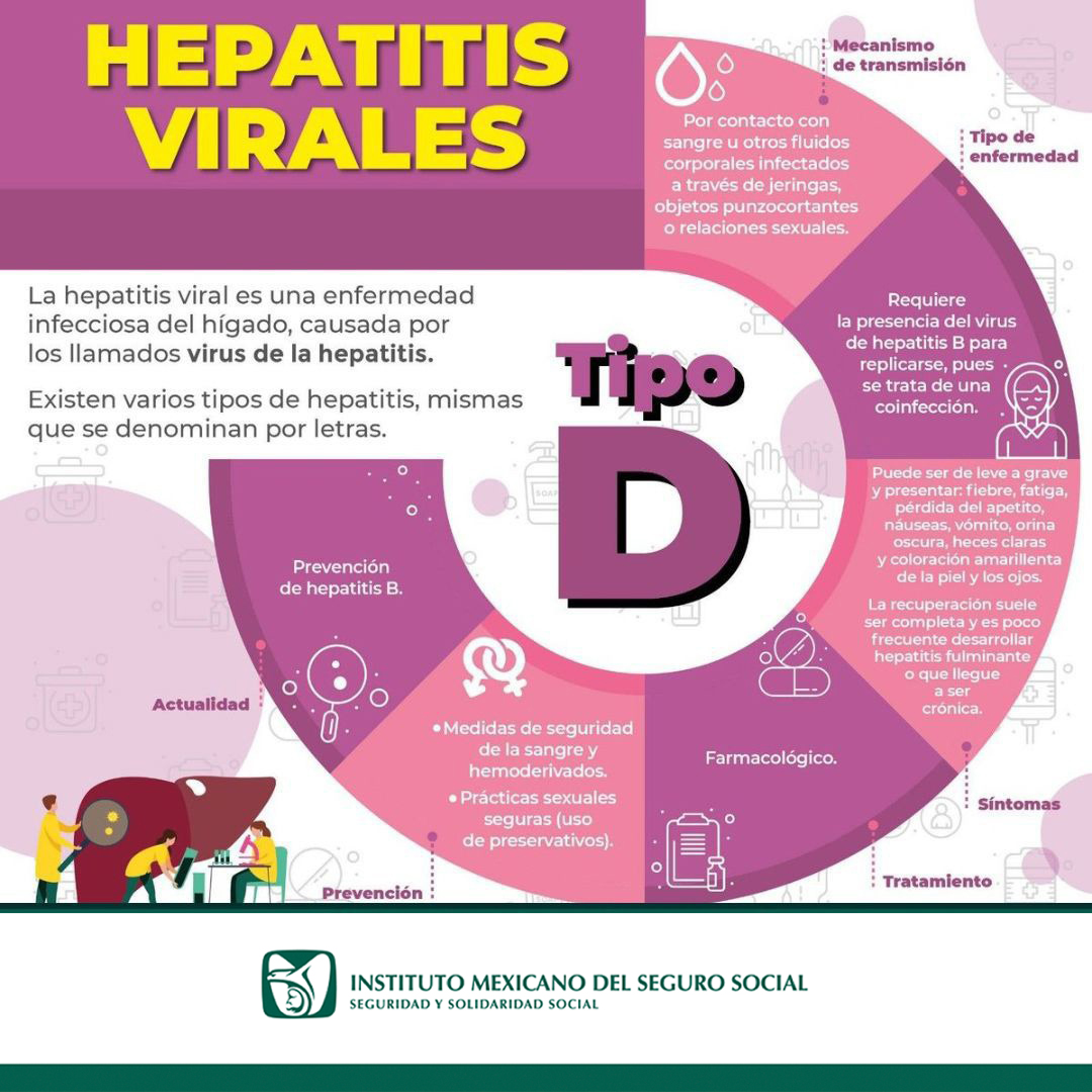 IMSSZac's tweet photo. #SabíasQué La hepatitis del tipo D, requiere de la presencia de la hepatitis B, para poder replicarse, ya que se trata de una infección. https://t.co/a2XjTZ0FIi
