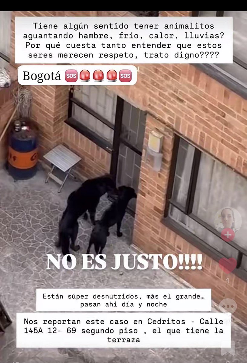 MONYRODRIGUEZOF's tweet photo. Señores @AnimalesBOG @CarabinerosCol @AHLLAMAS urge rescate. Nada de recomendaciones que es evidente el estado  de abandono de estos animalitos @alcaldiausaquen @andreanimalidad https://t.co/Bwfvmn4s66