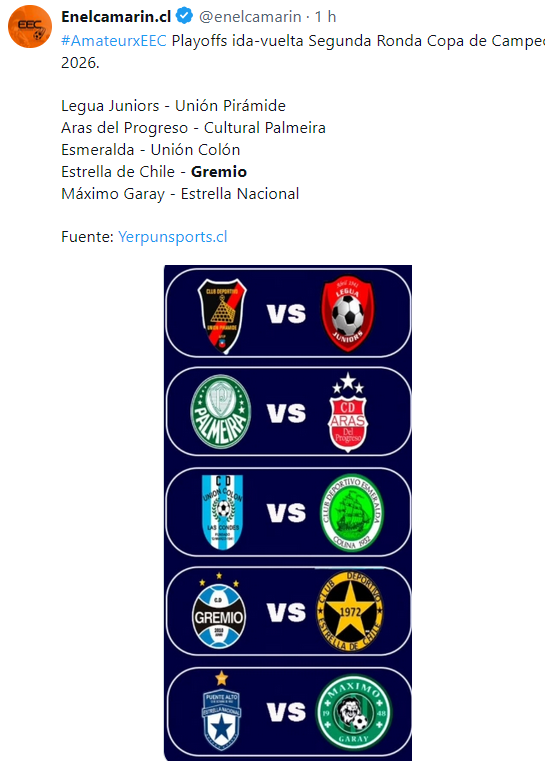 BrasDamian's tweet photo. Final vai ser Gremio X "PalmeirA'
Vamo Gremio del Chile!! https://t.co/4qGGT3Dtb2