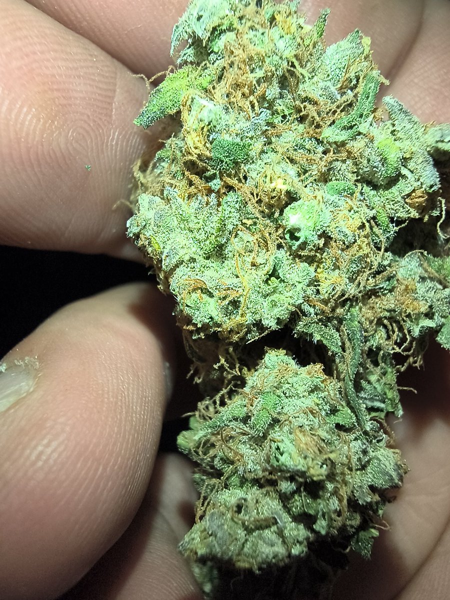 Dix_Custom's tweet photo. Who likes that old school dank https://t.co/1r5OmOtqWw
