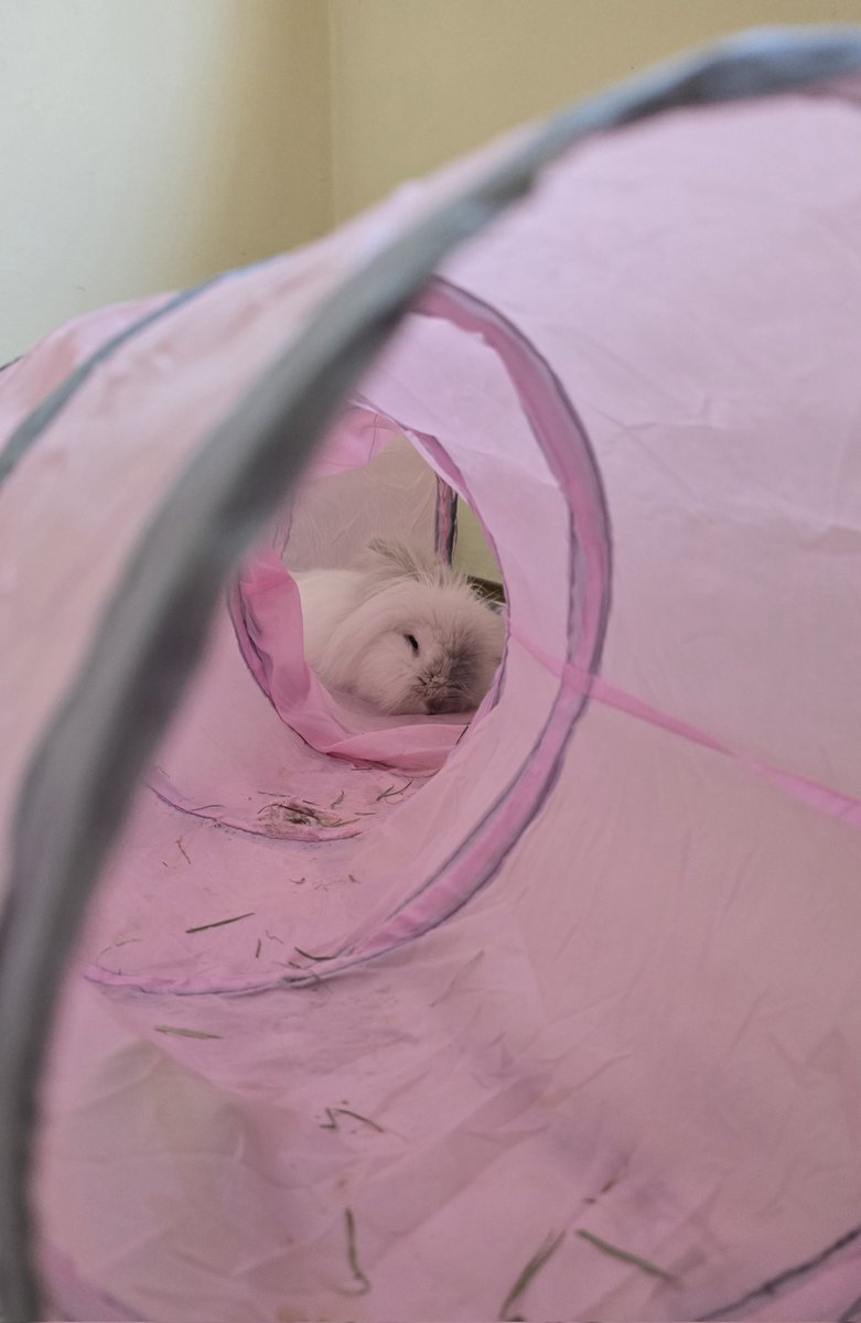 xLightsOutx's tweet photo. tunnel dweller https://t.co/b8Kr9ChylH