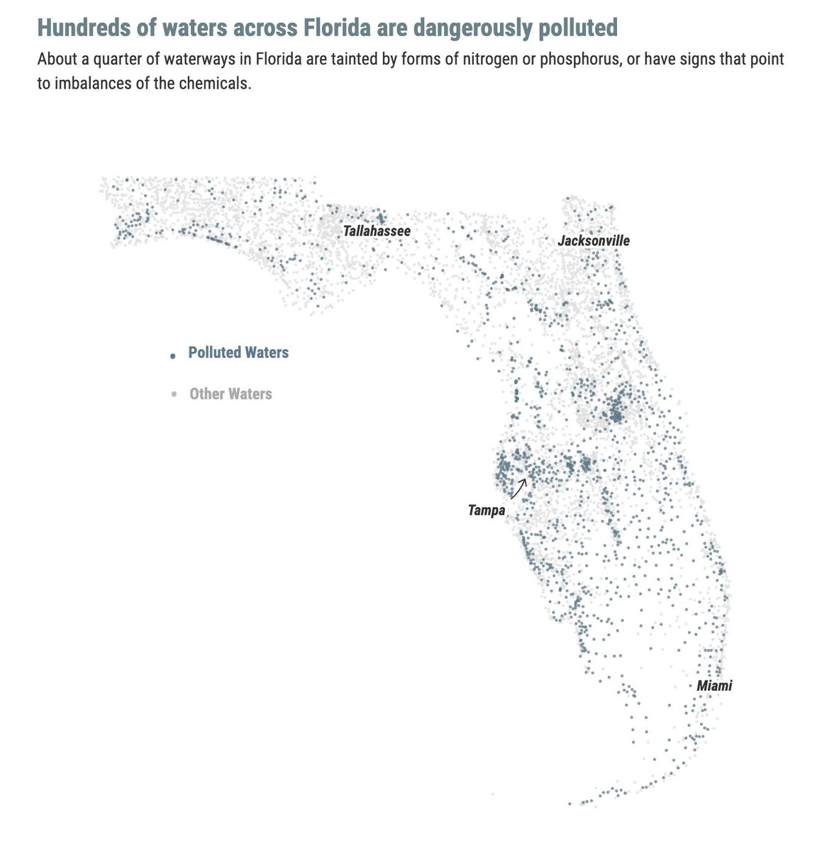 N_CastelblancoM's tweet photo. En la Florida, de donde efectivamente es el video, la contaminación de las aguas es tal que se han perdido 36K hectáreas de pastos marinos, con la consecuente mortandad por inanición de +800 de manatíes en 2 años. La población no es estable. #mansplaining
https://t.co/DHRoXZnHoQ https://t.co/YFoE1WyxqK