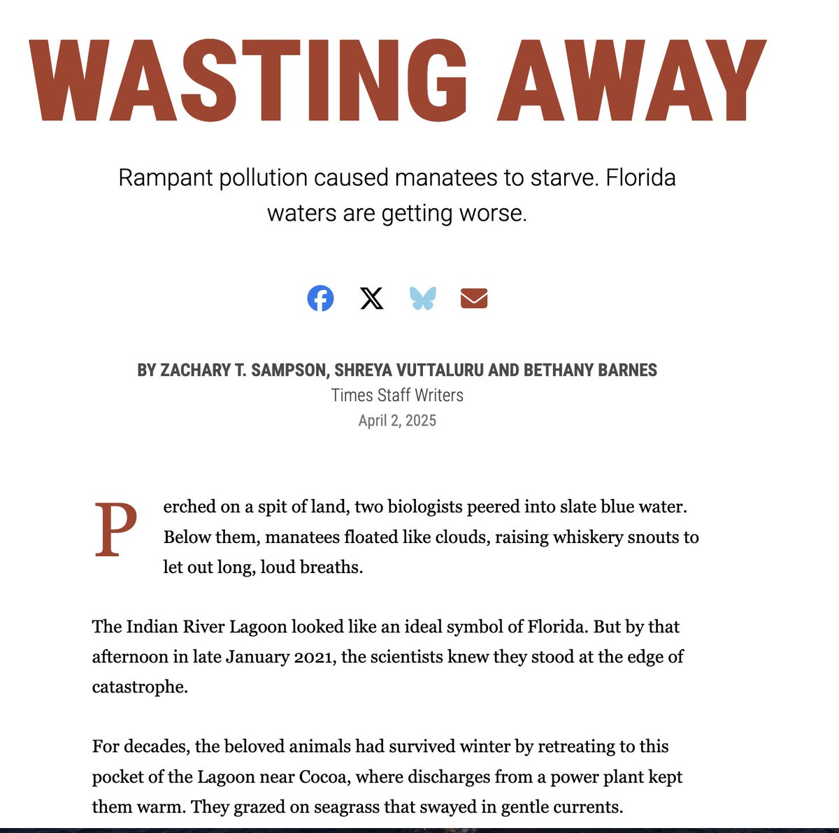 N_CastelblancoM's tweet photo. En la Florida, de donde efectivamente es el video, la contaminación de las aguas es tal que se han perdido 36K hectáreas de pastos marinos, con la consecuente mortandad por inanición de +800 de manatíes en 2 años. La población no es estable. #mansplaining
https://t.co/DHRoXZnHoQ https://t.co/YFoE1WyxqK