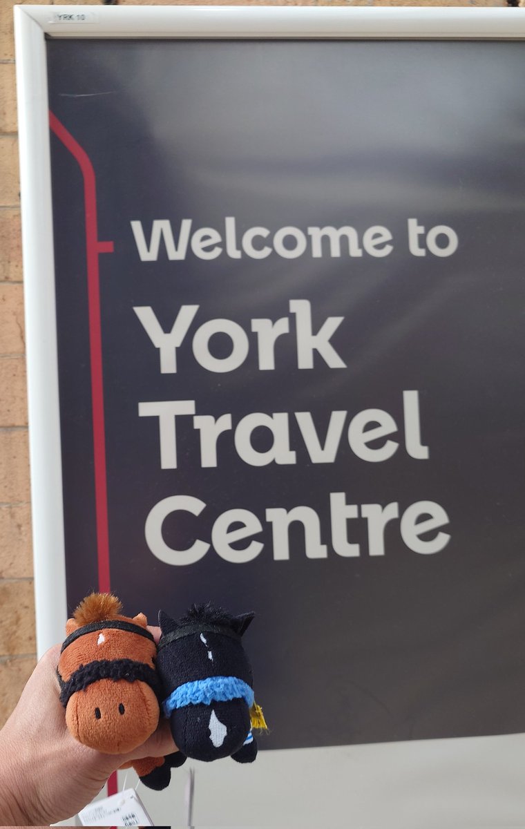 handsome__wu's tweet photo. ダノンデサイル ドゥレッツァ at York

#サラコレのいる生活 https://t.co/p9TaqWBUzk