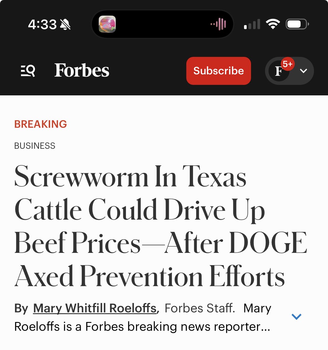 andimgladofit's tweet photo. you can always hate republicans more, and there are no rubes more deserving of contempt than right wing tech twitter https://t.co/zFj3YOef6M