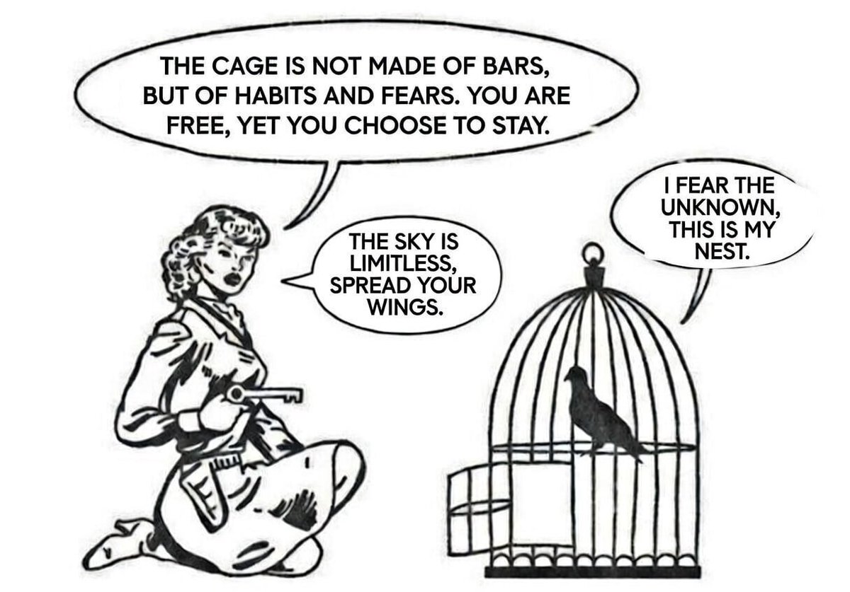 CageIsAlliKnow's tweet photo. Solana is all I know https://t.co/1Ub233gqCJ