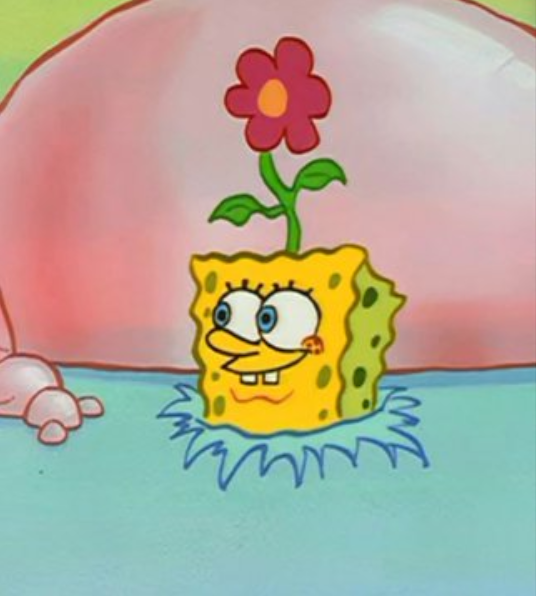 alecsbutt's tweet photo. spongebob as a flower https://t.co/wvs9zWKoyc