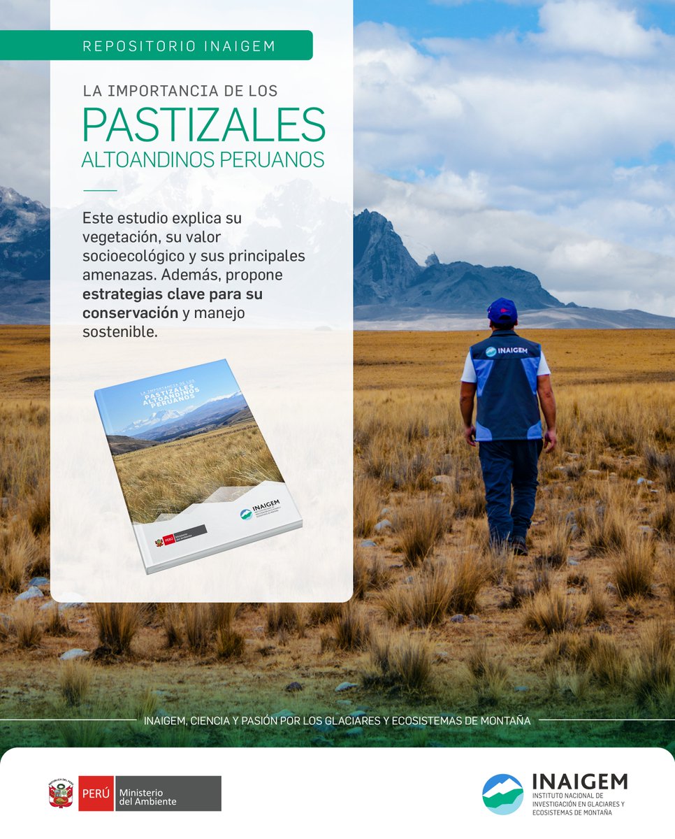 InaigemPeru's tweet photo. 🔵 #RepositorioINAIGEM | Contamos con numerosas y diversas investigaciones. Hoy les compartimos nuestra publicación "La importancia de los pastizales altoandinos peruanos". 

🚨 Descárgalo AQUÍ: https://t.co/g28RYr2JSi y COMPÁRTELO para que llegue a más personas.

#INAIGEM https://t.co/QR1h7XTJy1