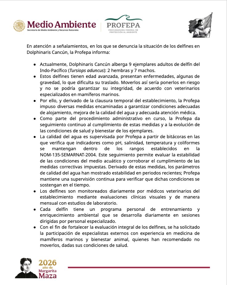 PROFEPA_Mx's tweet photo. En atención a señalamientos, en los que se denuncia la situación de los delfines en Dolphinaris Cancún, la Profepa informa: https://t.co/0h8FS1CEqs