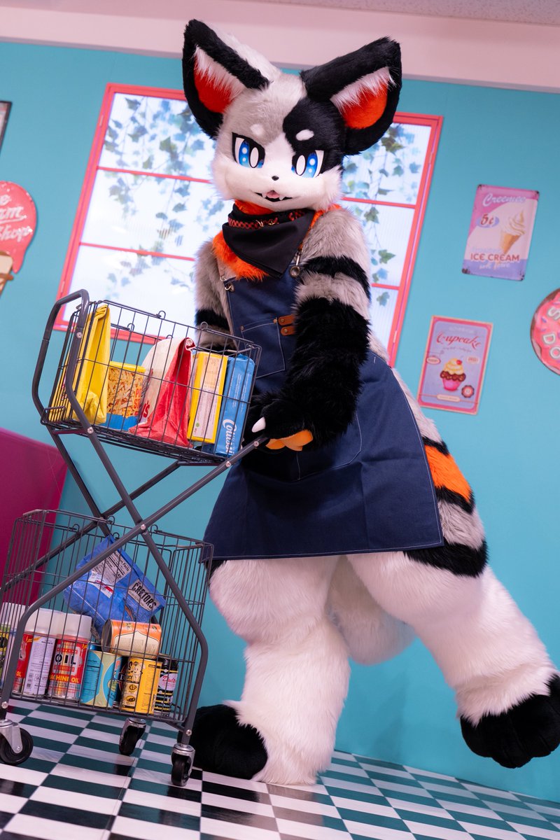 dyoco_moni's tweet photo. お手伝い中🐈‍⬛🐾🐾

 #FursuitFriday https://t.co/76oVsMnoJw